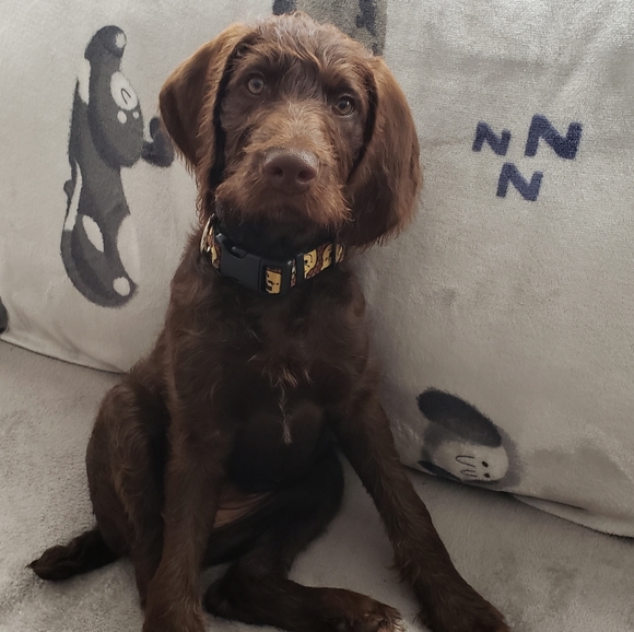 Meet your Posher, Crystal - Picture 14 of 15